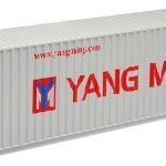 Container 40 pieds