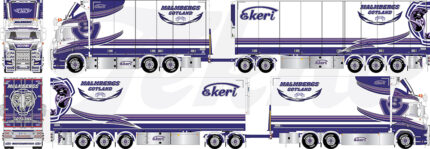 SCANIA S Highline 6x2 combiné suédois frigo – Image 5