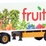 DAF XG+ 4x2 avec remorque frigo 3 essieux