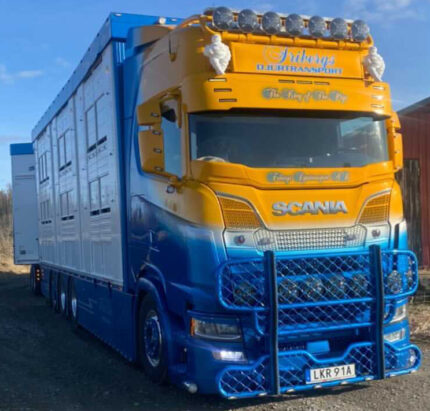 SCANIA S Highine 8x2 combiné porteur et remorque bétaillère – Image 3