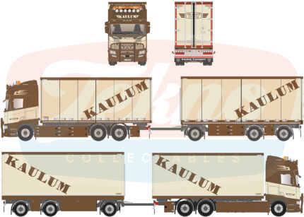 SCANIA R Highline 6x2 combiné porteur et remorque tolée – Image 5