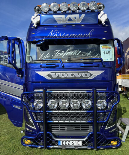 VOLVO FH16 Globetrotter 6x4 combiné forestier – Image 3